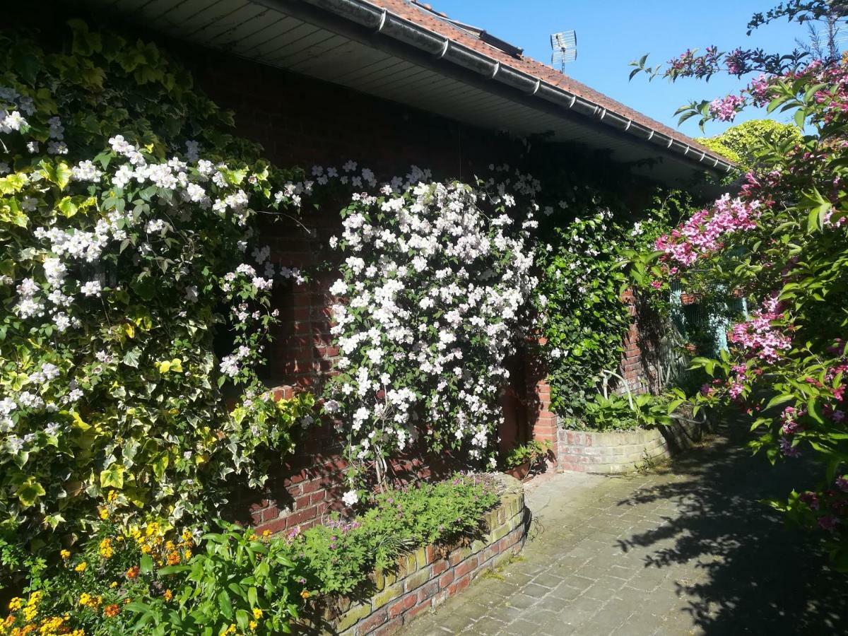 ボルジール Pantgat Hof Bed & Breakfast エクステリア 写真